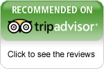 tours from trip advisor