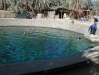 wells in siwa