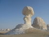 bahariya oasis safari
