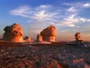 desert safari overnight
