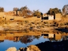 siwa safari trip