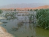 alain-city-tour