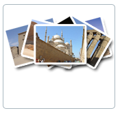 promotions best of egypt