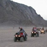 Desert Explorer Desert Explorer
