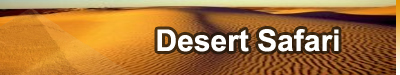 http://www.ramsestours.com/wp-content/uploads/2010/07/desert_safari_banner_link.jpg